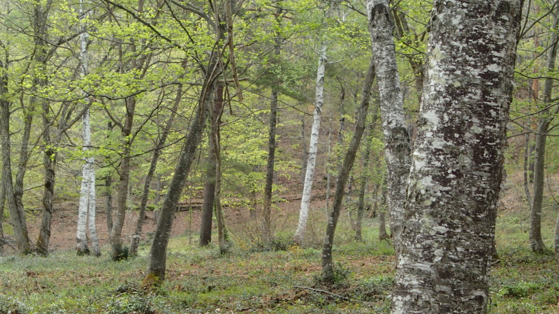 e0024081_21032013.jpg