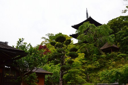 c0229483_8145954.jpg