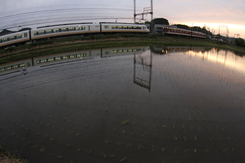 c0177785_60338.jpg