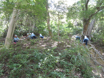 f0053885_205499.jpg