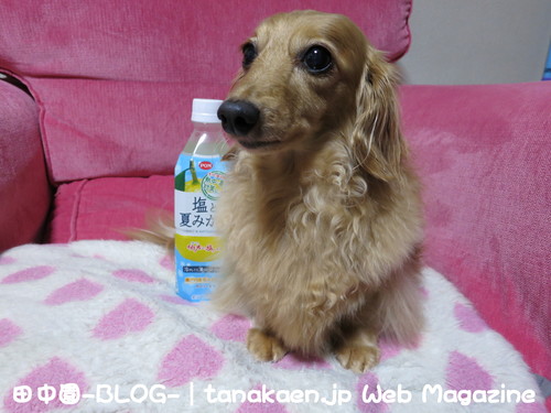 2㌧ユニック今だに走れず・・・_b0200291_21451949.jpg