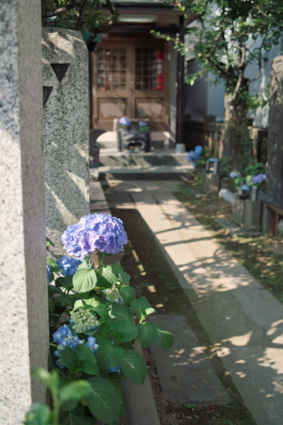 下頭橋六蔵菩薩_f0322193_10251367.jpg