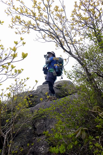 高柴山と大滝根山_e0137200_20431989.jpg