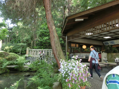 b0190908_14043669.jpg
