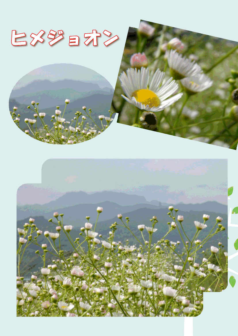 f0231709_19574347.gif