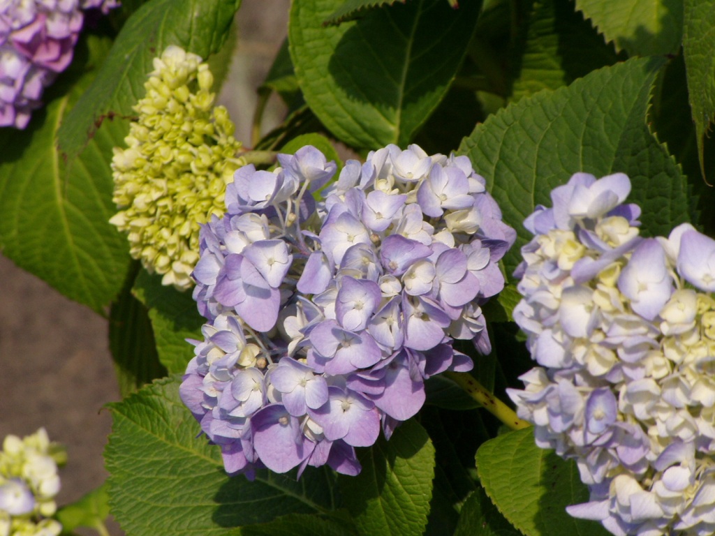 f0324510_23424274.jpg