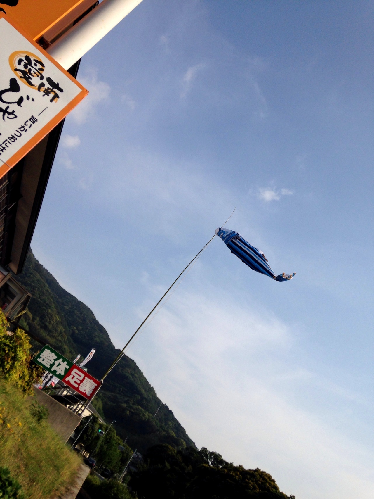 びやびや~アイナンチョウの家_f0150413_10491498.jpg
