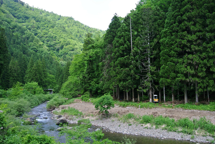 d0327814_19404550.jpg