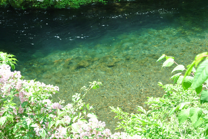 d0327814_21164363.jpg