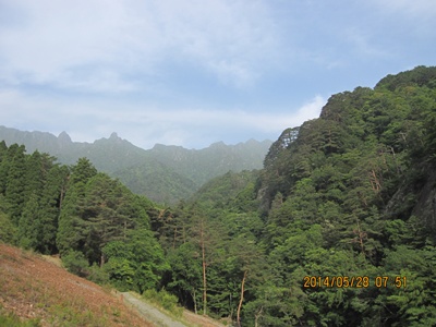 f0193521_1301983.jpg