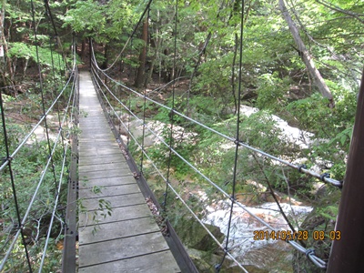 f0193521_1335485.jpg