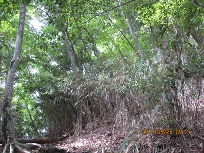 f0193521_13402280.jpg