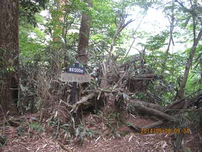 f0193521_13431567.jpg