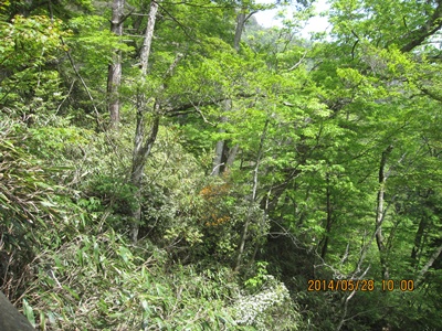 f0193521_17393429.jpg