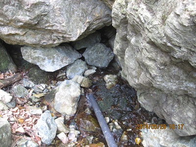 f0193521_17431151.jpg