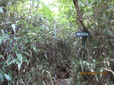 f0193521_17464414.jpg