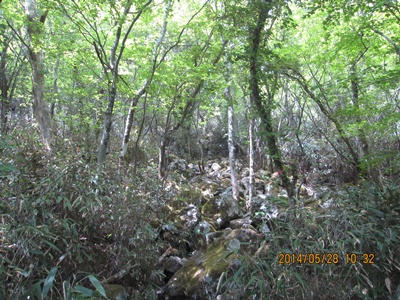f0193521_1752495.jpg
