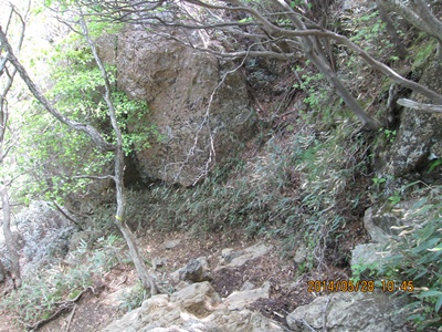 f0193521_17583176.jpg