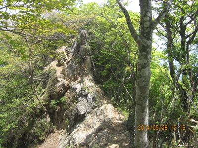 f0193521_19564244.jpg