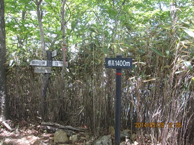 f0193521_19592212.jpg