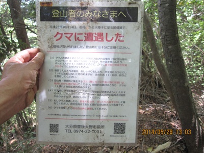 f0193521_20364024.jpg