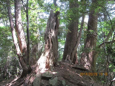 f0193521_20414584.jpg
