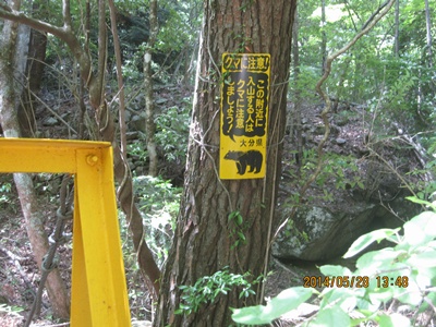 f0193521_2051226.jpg