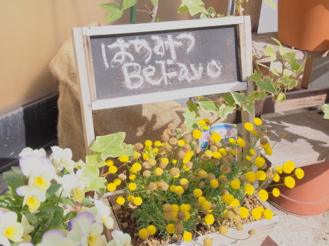 バッケのジェラート×白神山地産生はちみつ:BeFavo(西目屋村)_b0147224_22535510.jpg
