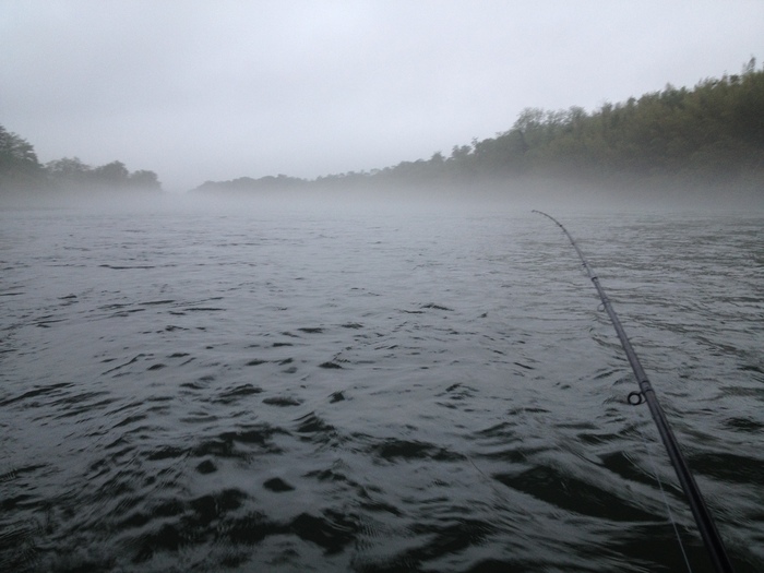 f0090131_1394117.jpg