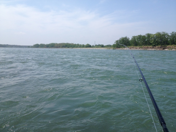 f0090131_1395313.jpg