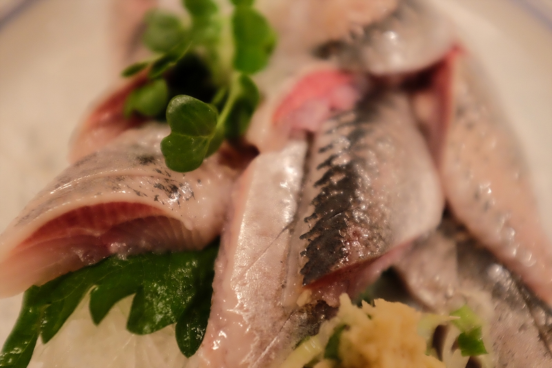 銀座三州屋　海老原さんと飲む食う！！_f0050534_08114376.jpg