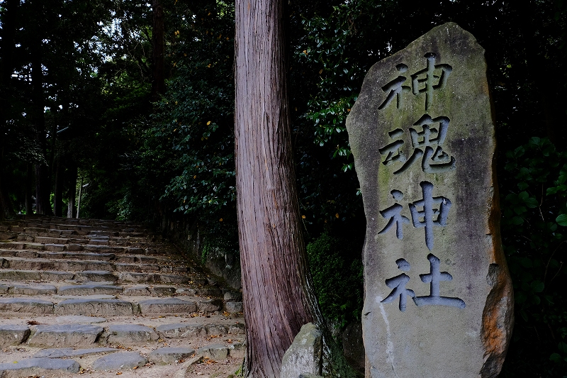 松江・神魂神社_f0050534_16392162.jpg