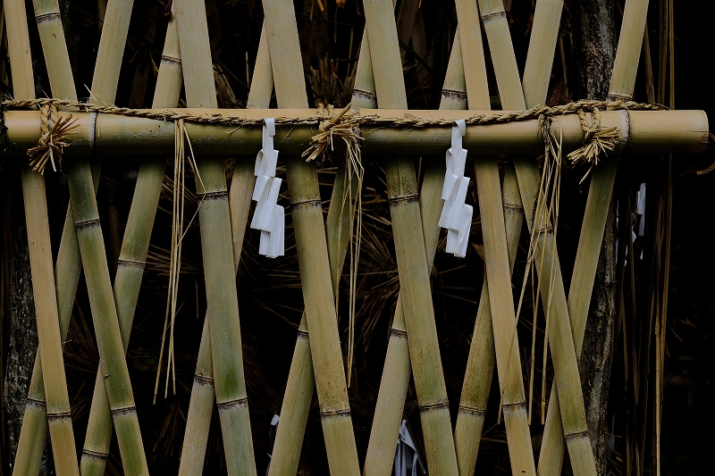 松江・神魂神社_f0050534_16401065.jpg