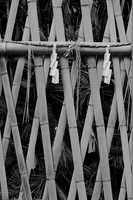 松江・神魂神社_f0050534_16401081.jpg