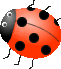 a0216142_23165023.gif