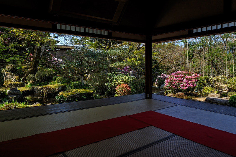 花いっぱいの実光院（大原）_f0155048_23102918.jpg