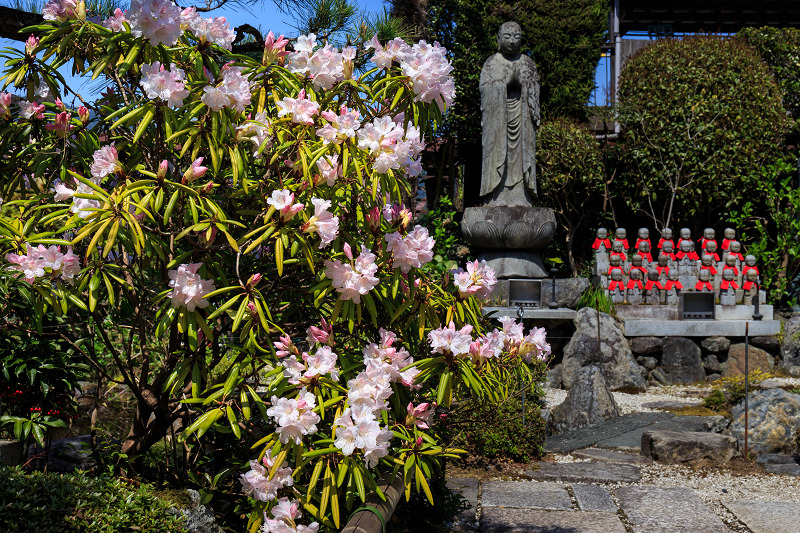 花いっぱいの実光院（大原）_f0155048_23104522.jpg