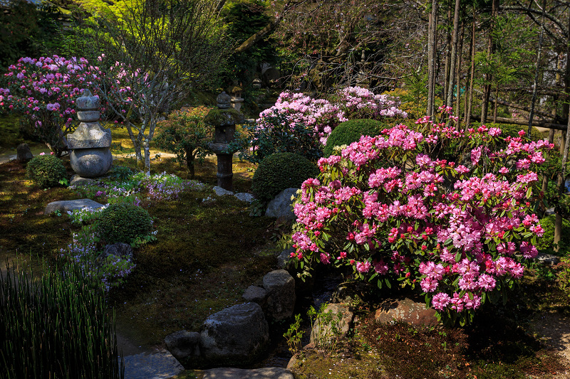 花いっぱいの実光院（大原）_f0155048_2363221.jpg