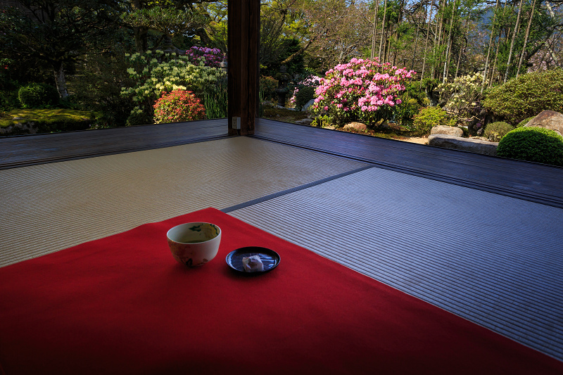 花いっぱいの実光院（大原）_f0155048_236954.jpg