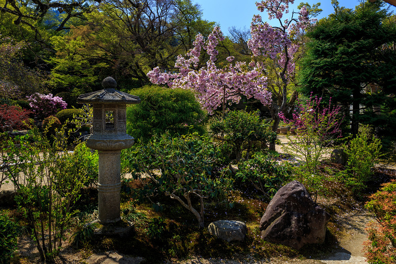花いっぱいの実光院（大原）_f0155048_2383769.jpg