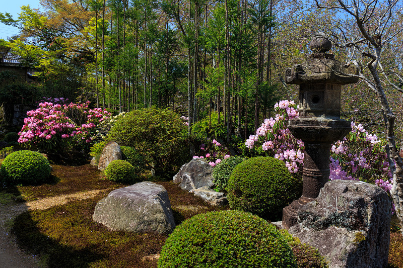 花いっぱいの実光院（大原）_f0155048_2393916.jpg