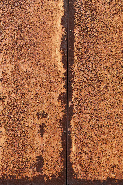 f0077849_2054179.jpg