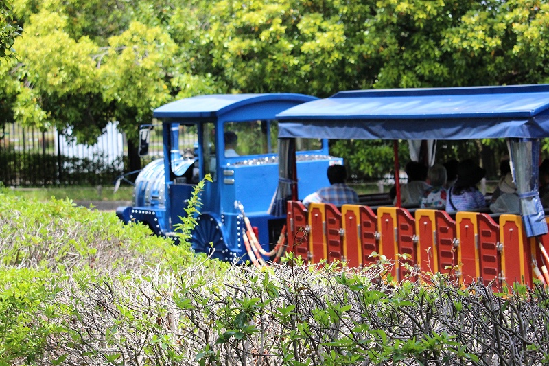 5月22日　帰郷・寄り道　７　国立昭和記念公園_b0250154_22511447.jpg