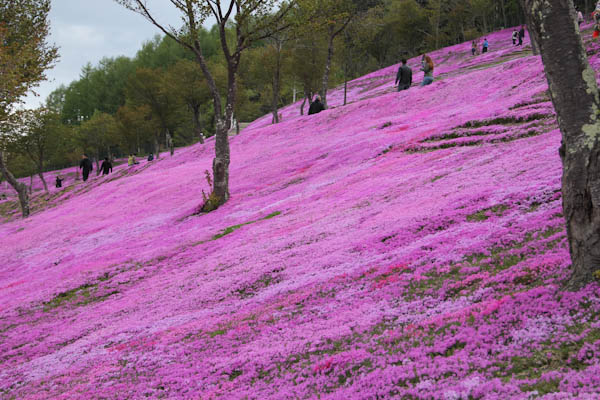 道北の春旅_b0138661_08647.jpg