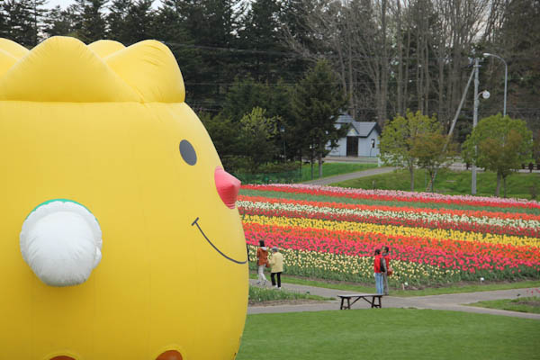 道北の春旅_b0138661_9324024.jpg