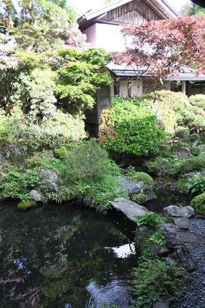 聖地　高野山　　　　　宿坊体験　　桜池院　_d0128163_17324649.jpg