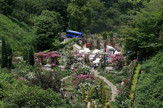 a0135366_22145092.jpg