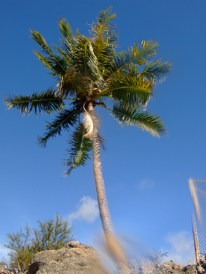 e0184067_17261826.jpg