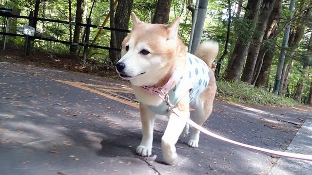 b0274270_10534472.jpg