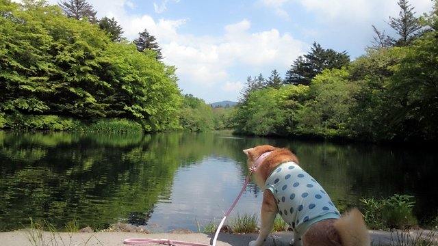 b0274270_10551261.jpg